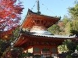 Private Customized Sightseeing Tour in Hiroshima with a Guide