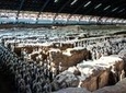 Private Half-Day Tour of Xi'an Terracotta Warriors