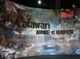 Private Puerto Princesa City Heritage Tour