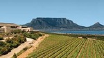 Full-Day Durbanville Valley Wine Tasting Private Tour from Cape Town