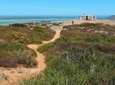 Full-Day West Coast Private Tour from Cape Town with Local Guide
