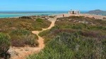 Full-Day West Coast Private Tour from Cape Town with Local Guide