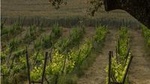Ronda Private Wine Tour and Tapas from Marbella