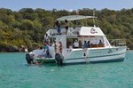 Catamaran Sailing Tour from Puerto Plata
