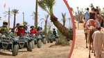 Quad Bike and Camel Ride Full-Day Tour from Marrakech