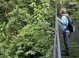 Sky Walk Tour with Hanging Bridges and Nature Preserve