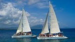 Sosua Bay Freestyle Catamaran Cruise from Puerto Plata