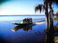 Sea Dragon Airboat Safari 
