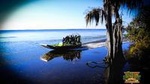 Sea Dragon Airboat Safari 