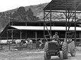 Fully Inclusive The Israeli Kibbutz Experience