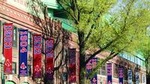 Tour of Historic Fenway Park, America's Most Beloved Ballpark