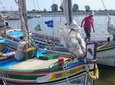Traditional Lisbon Boat Tour