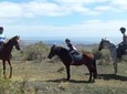 Relaxing Horse Riding Tour in Gran Canaria
