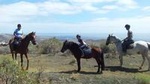 Relaxing Horse Riding Tour in Gran Canaria