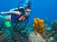 Wave Break Island Scuba Diving on the Gold Coast