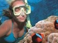 Wave Break Island Snorkel Tour on the Gold Coast