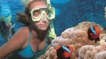 Wave Break Island Snorkel Tour on the Gold Coast