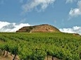 Crete Wine and Olive Oil Tour
