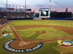 Attend World Baseball Classic