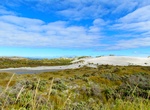Explore Farewell Spit, New Zealand