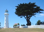 See Tiritiri Matangi Lighthouse, North Island 