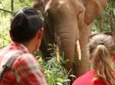 3-Day Kindred Spirit Elephant Sanctuary Chiang Mai