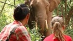 3-Day Kindred Spirit Elephant Sanctuary Chiang Mai