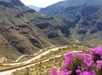Half-Day Swartberg Pass PRIVATE Tour (including lunch & transfer - Oudtshoorn)