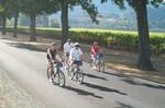 Full-Day Healdsburg Wine Country Bike and Wine Tasting Tour