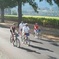 Full-Day Healdsburg Wine Country Bike and Wine Tasting Tour
