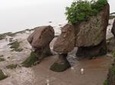 Hopewell Rocks Admission