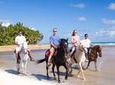 Luquillo Beach Horse Ride from Carabalí Rainforest Adventure Park