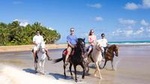 Luquillo Beach Horse Ride from Carabalí Rainforest Adventure Park