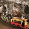 Postojna Cave & Predjama Castle from Koper
