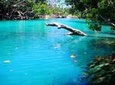 Vanuatu Full-Day Tour: Cultural Village and Blue Lagoon with Yumi Tours