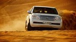 Morning Desert Safari Including Dune Bashing And Breakfast