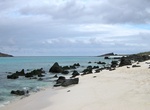 Visit Bahía Gardner Beach, Española Island, Galápagos