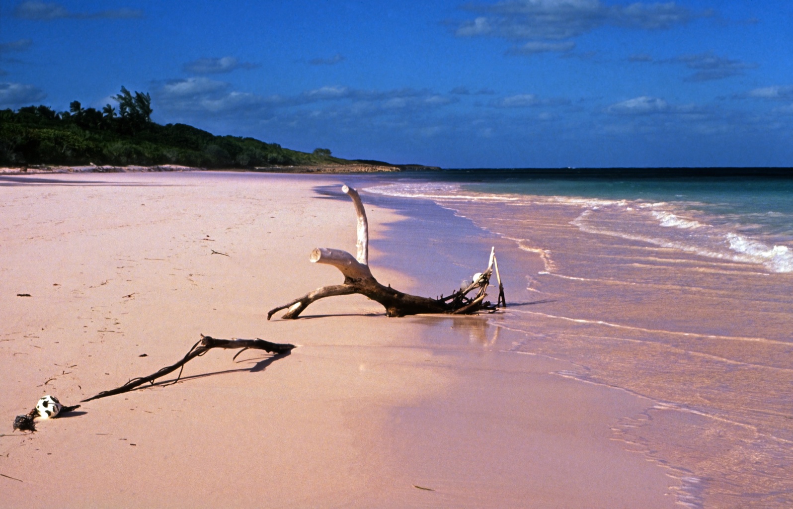 ISLA- Pink