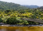 Cross Kohaihai River Bridge (Heaphy Track), New Zealand