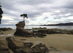 Visit Tinline Bay Beach (Abel Tasman Coast Track), New Zealand
