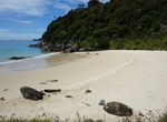 Visit Dead Man Beach, Stewart Island, New Zealand