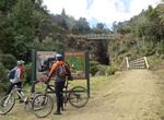 Hike or Mountain Bike Timber Trail, New Zealand