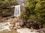 Hike or Mountain Bike Charming Creek Walkway to Mangatini Falls, New Zealand