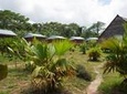 3-Day All Inclusive Guided Jungle Tour from Iquitos at Maniti Eco-Lodge