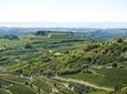 Amarone Wine-Tasting Tour from Verona 