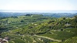 Amarone Wine-Tasting Tour from Verona 