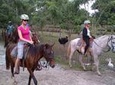 Shore Excursion: Glide N' Ride - Zip Lines & Horseback riding