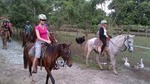 Shore Excursion: Glide N' Ride - Zip Lines & Horseback riding