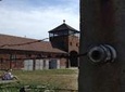 Auschwitz-Birkenau VIP Tour from Krakow