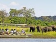 Chobe National Park Day Trip from Victoria Falls